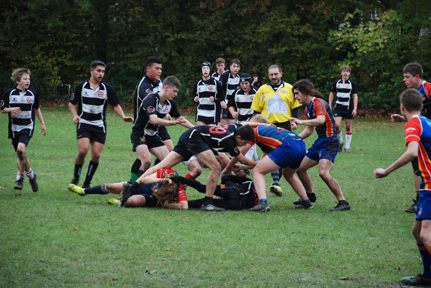 The Hague Barbarians nét te sterk voor Wasps