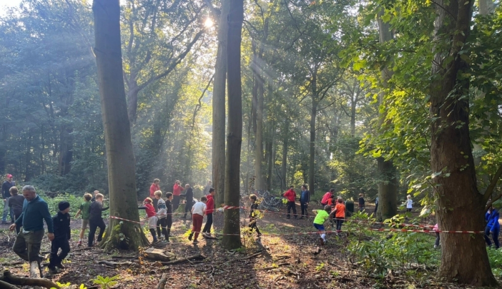 Teambuilding in het bos
